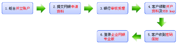 企业网银专业版开户流程